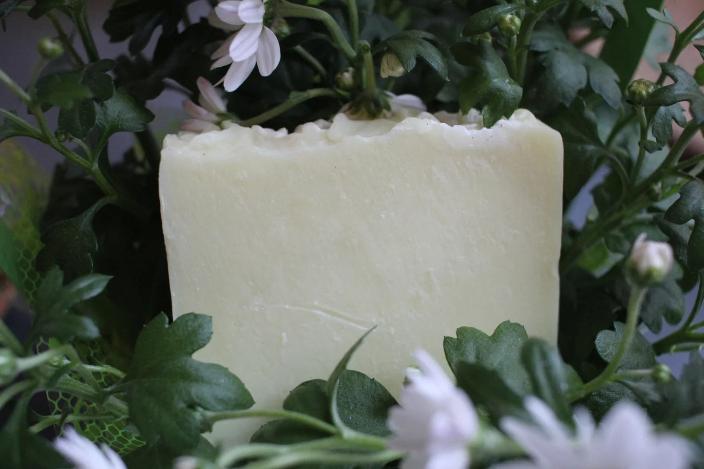 Basic Tallow Soap
