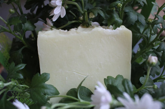 Basic Tallow Soap
